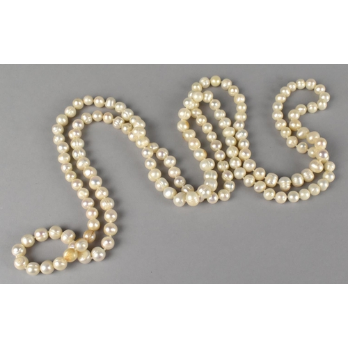 436 - A Pearl Necklace, 114cm Long