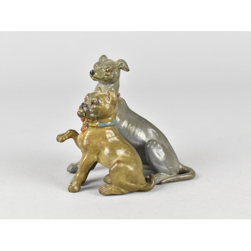 47 - A Heavy Austrian Cold Painted Bronze Study of Greyhound and Bulldog, 8cms High