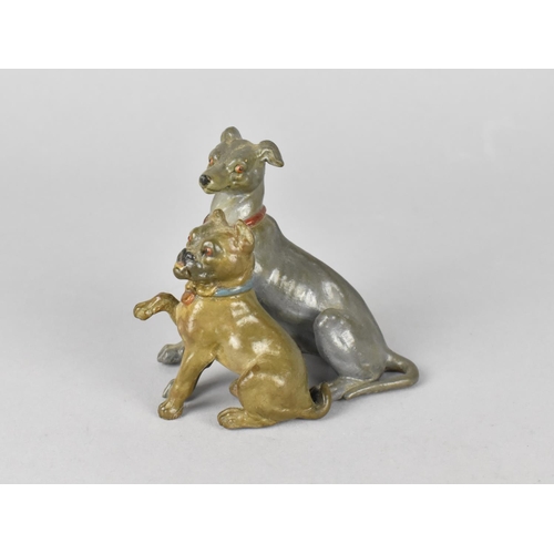 47 - A Heavy Austrian Cold Painted Bronze Study of Greyhound and Bulldog, 8cms High