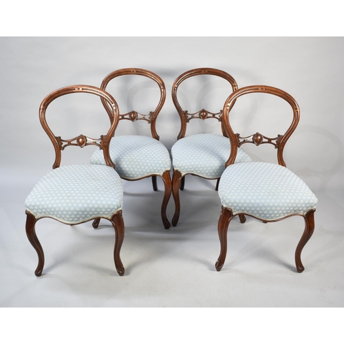 484 - A Set of Four Victorian Walnut Framed Balloon Backed Ladies Salon Chairs