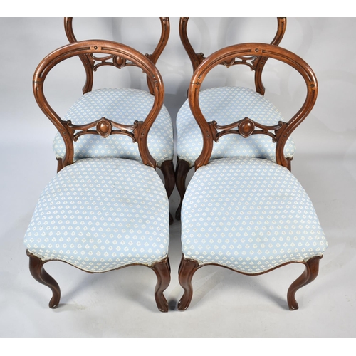 484 - A Set of Four Victorian Walnut Framed Balloon Backed Ladies Salon Chairs