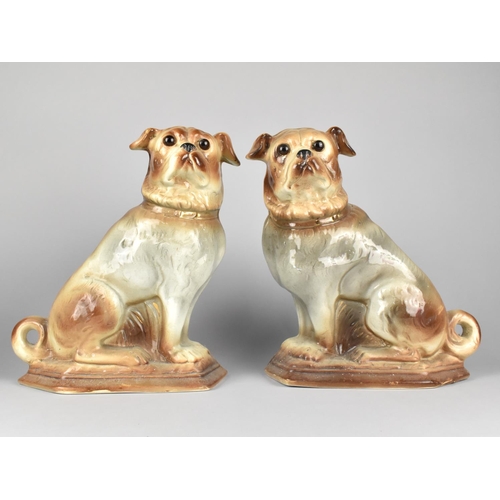 71 - A Pair of Early 20th Century Glazed Continental Dogs with Glass Eyes, 31cms High