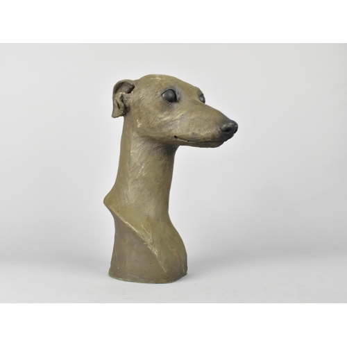 81 - A Cast Resin Bust of a Whippet, 25cms Wide