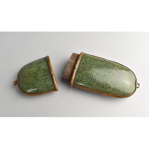 24 - A 19th Century Shagreen Spectacle Case, 17cms Long