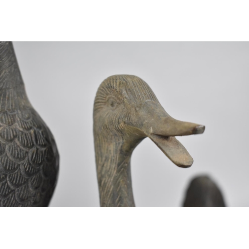 30 - Two Chinese Verdigris Patinated Bronze Ducks, Each with Neck Raised and Beak Open, Tallest 25cms Hig... 