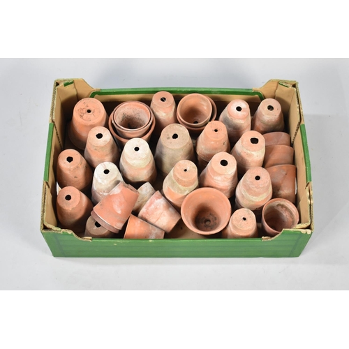 479 - A Collection of Various Vintage Terracotta Plant Pots