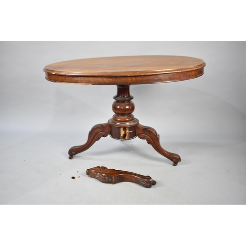 550 - A Late Victorian Mahogany Oval Snap Top Table in Need of Repair and Restoration