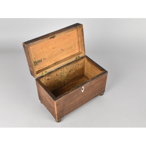 86 - A Small 19th Century Mahogany Rectangular Tea Caddy for Restoration with Brass Ball Feet, 20cms Wide