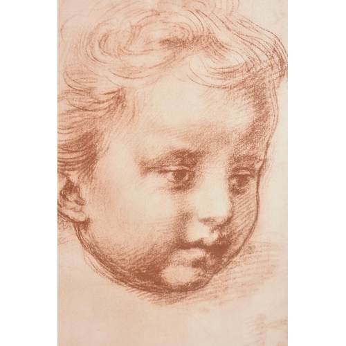 284 - A Framed Andrea Del Sarto Print, Portrait of Sketch of Young Child, Subject 16x21cm