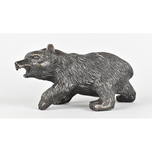 50 - A Patinated Bronze Study of a Snarling Brown Bear, 21cms Long