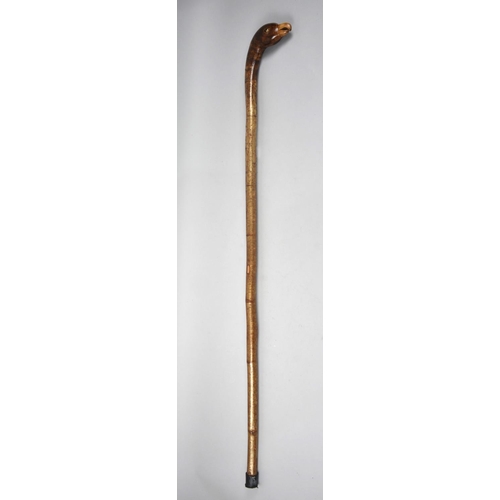 106 - A Rustic Walking Stick with Carved Birds Head Handle