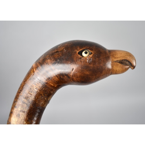 106 - A Rustic Walking Stick with Carved Birds Head Handle