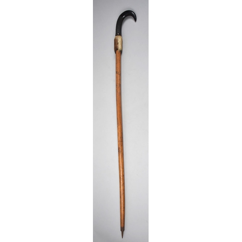 107 - A Vintage Black Forest Walking Stick with Ice Spike Inscribed Interlaken, Chamois Horn Handle, 94cms... 