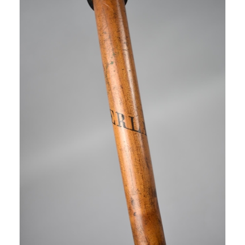 107 - A Vintage Black Forest Walking Stick with Ice Spike Inscribed Interlaken, Chamois Horn Handle, 94cms... 