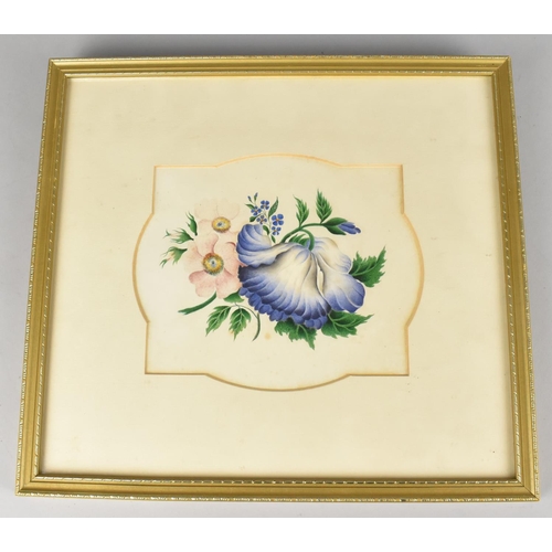 138 - A Framed Botanic Watercolour C.1838 by Louise Sellier, subject 17cms by 14cms