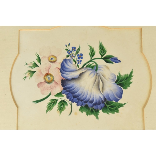 138 - A Framed Botanic Watercolour C.1838 by Louise Sellier, subject 17cms by 14cms