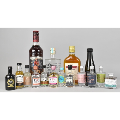 172 - A Collection of Various Modern Miniature Spirits, Gin Liqueur, Captain Morgan Rum, French Brandy Etc