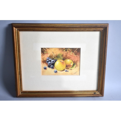 194 - A Small Watercolour of Fruit, Signed C. Hughes, 12cms by 9cms