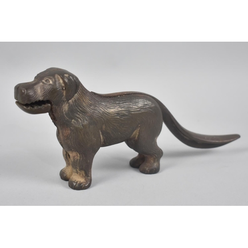 22 - A Late Victorian/Edwardian Novelty Nutcracker in the Form of a Dog, 22cms Long