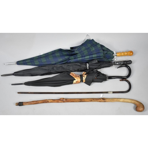 244 - A Collection of Three Umbrellas, One Walking Stick and a Walking Cane with Silver Collar