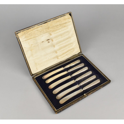 345 - A Cased Set of Six Silver Handled Butter Knives, Sheffield Hallmark