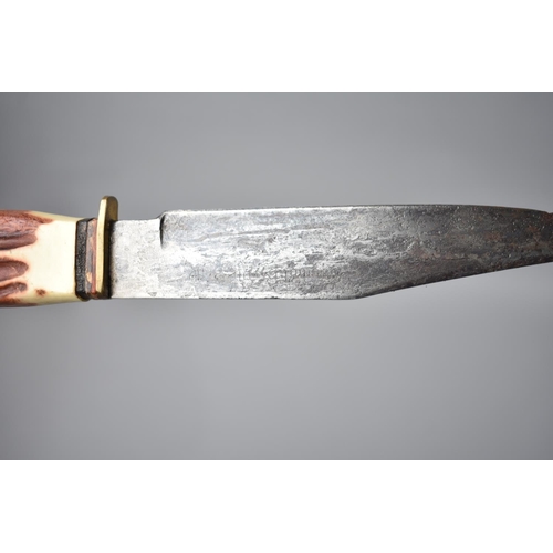 47 - A Mid 20th Century Bone Handled Hunting Knife together with Two Pocket Knives, Smaller with blade in... 