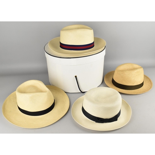 149 - A Collection of Various Panama Hats with Hat Box