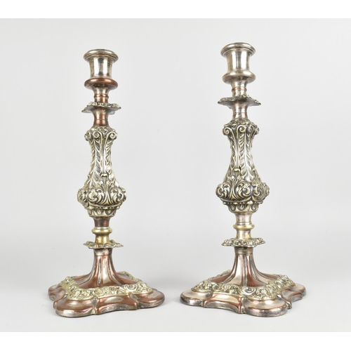 17 - A Pair of Late Victorian/Edwardian Sheffield Plated Rococo Style Candlesticks having Acanthus Suppor... 