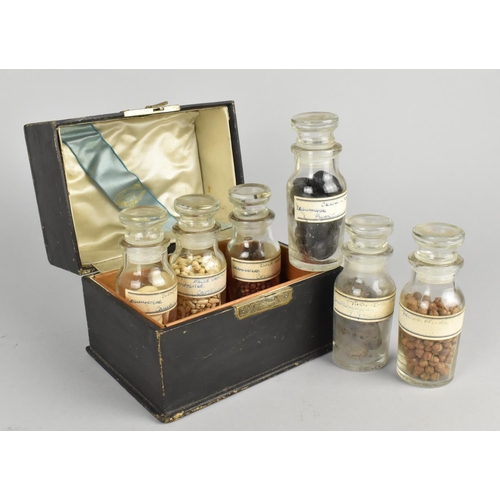 28 - An Early 20th Century Box Containing Six Glass Bottles Having Various Seeds, Possibly Pharmacognosy,... 