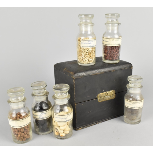 28 - An Early 20th Century Box Containing Six Glass Bottles Having Various Seeds, Possibly Pharmacognosy,... 