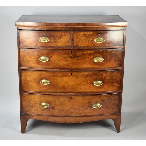 411 - A 19th Century Mahogany Chest of Two Short and Three Long Drawers, Bow Front, 101x50x112cms High