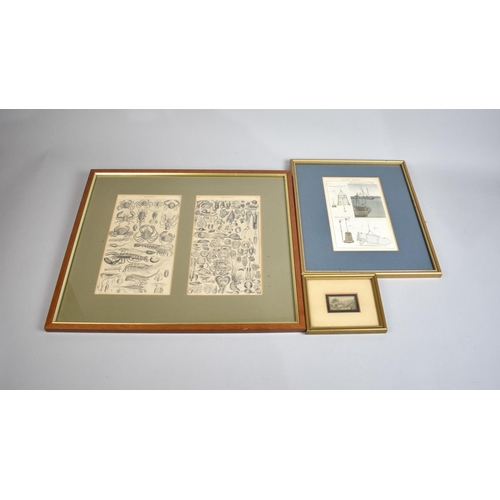 414 - Three Framed Engravings to comprise Book Plates, Diving Bells Etc