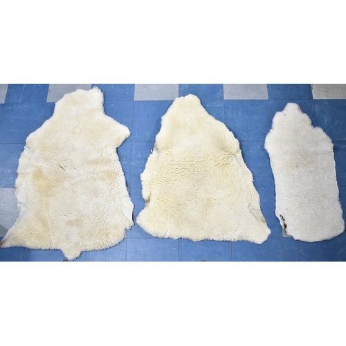 446 - Three Sheep Skin Rugs