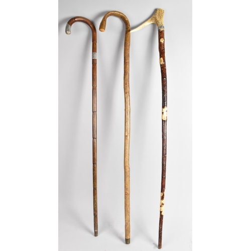 67 - Three Various Walking Sticks to include Silver Mounted Bamboo by Jonathan Howell, Birmingham 1914 Ha... 