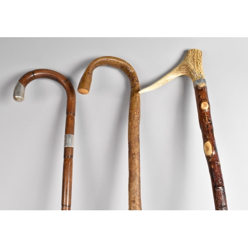 67 - Three Various Walking Sticks to include Silver Mounted Bamboo by Jonathan Howell, Birmingham 1914 Ha... 