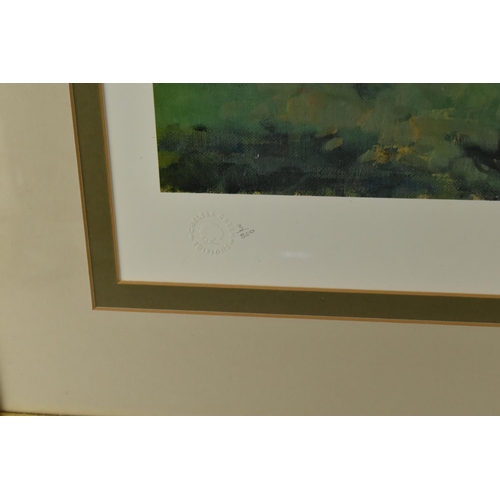 276 - A Large Framed Limited Edition Claire Eva Burton Print, 