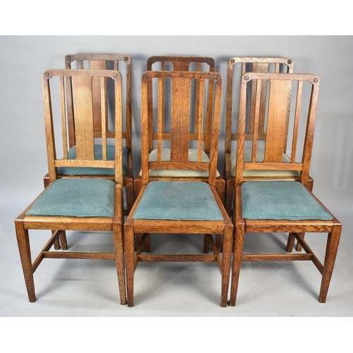 516 - A Set of Six Edwardian Oak Framed Dining Chairs