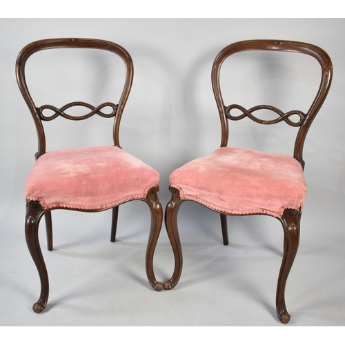 522 - A Pair of 19th Century Mahogany Framed Balloon Back Salon Chairs on Front Cabriole Supports