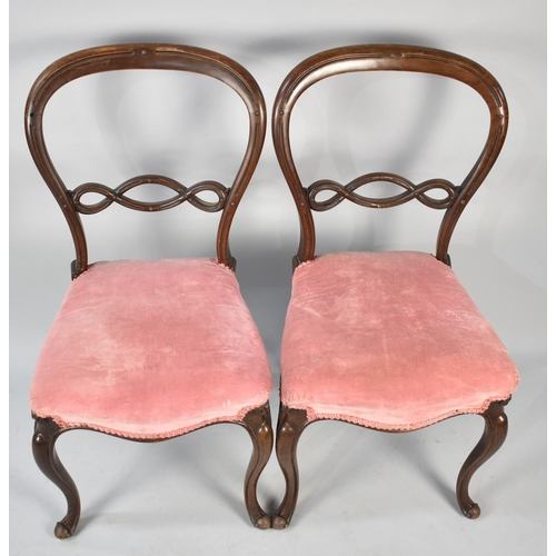 522 - A Pair of 19th Century Mahogany Framed Balloon Back Salon Chairs on Front Cabriole Supports