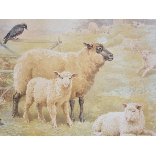 159 - A Framed Watercolour of Sheep and Crows by Helen Maguire (1881-1909), 29x21cms