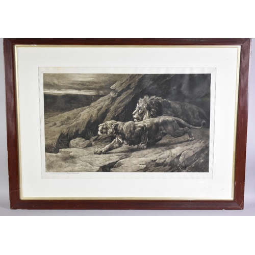 213 - A Framed Large Herbert Dicksee Engraving depicting Lion and Lioness, Published 1898, Signed in Penci... 