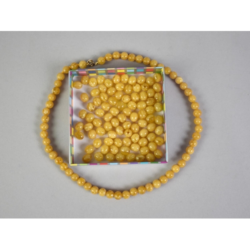 419 - An Egg Yolk Amber Necklace Comprising 57 Circular Beads, Each Approx 8.2mm Diameter together with a ... 