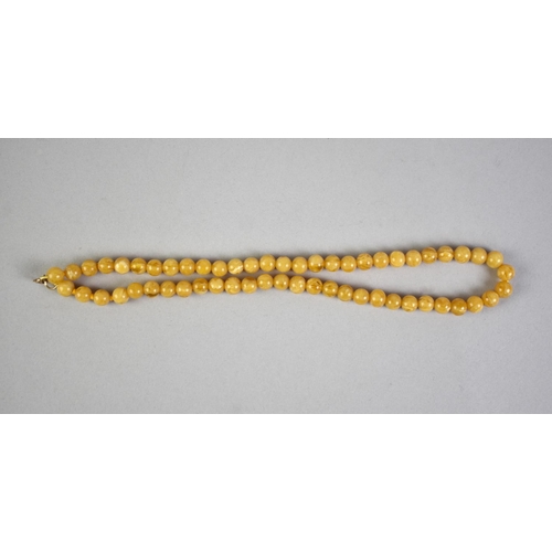 419 - An Egg Yolk Amber Necklace Comprising 57 Circular Beads, Each Approx 8.2mm Diameter together with a ... 