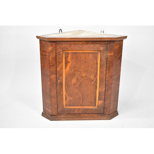 501 - A Small Walnut Wall Hanging Corner Cabinet, 52cms Wide and 52cms High