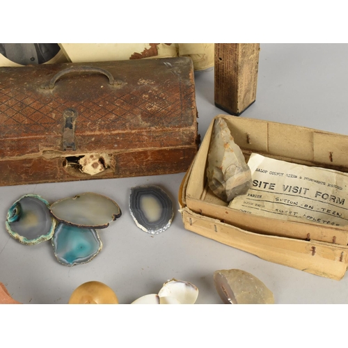 78 - A Collection of Curios to include Snakeskin, Flint Discovered at Sweet Apple Tree near Market Drayto... 