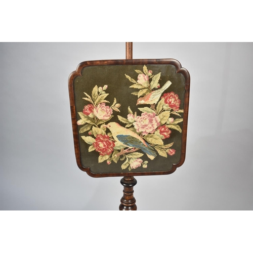 84 - A Mid 19th Century Pole Screen in Mahogany with Tapestry Panel Decorated with Bird and Roses, Square... 