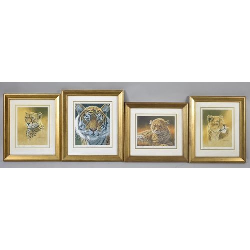 583 - A Collection of Four Gilt Framed Stephen Gayford Limited Edition Prints to comprise 