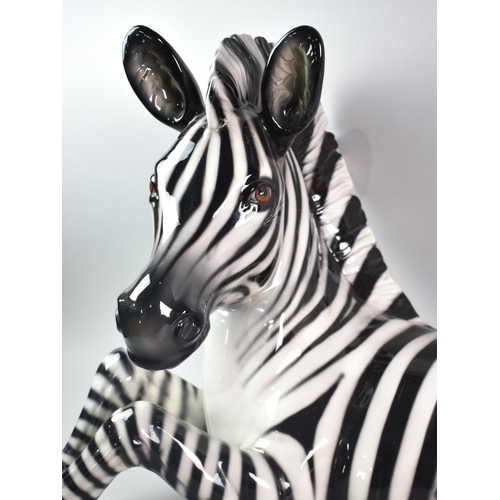 110 - A Large Vintage Italian Ceramic Study of a Reclining Zebra Calf, Hairline to Front Leg, 66cms Long