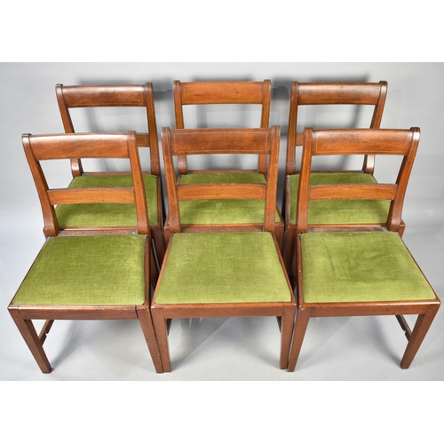 500 - A Set of Six Mahogany Framed Dining Chairs