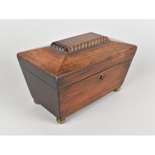 29 - A 19th Century Mahogany Two Division Tea Caddy of Sarcophagus Form, Four Brass Ball Feet, 20cm Wide